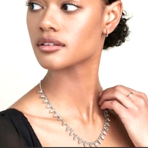 ⭐️✨Stella & Dot delicate crystal statement necklace - Picture 1 of 6